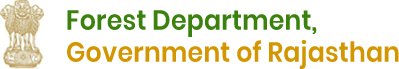 logo (1)